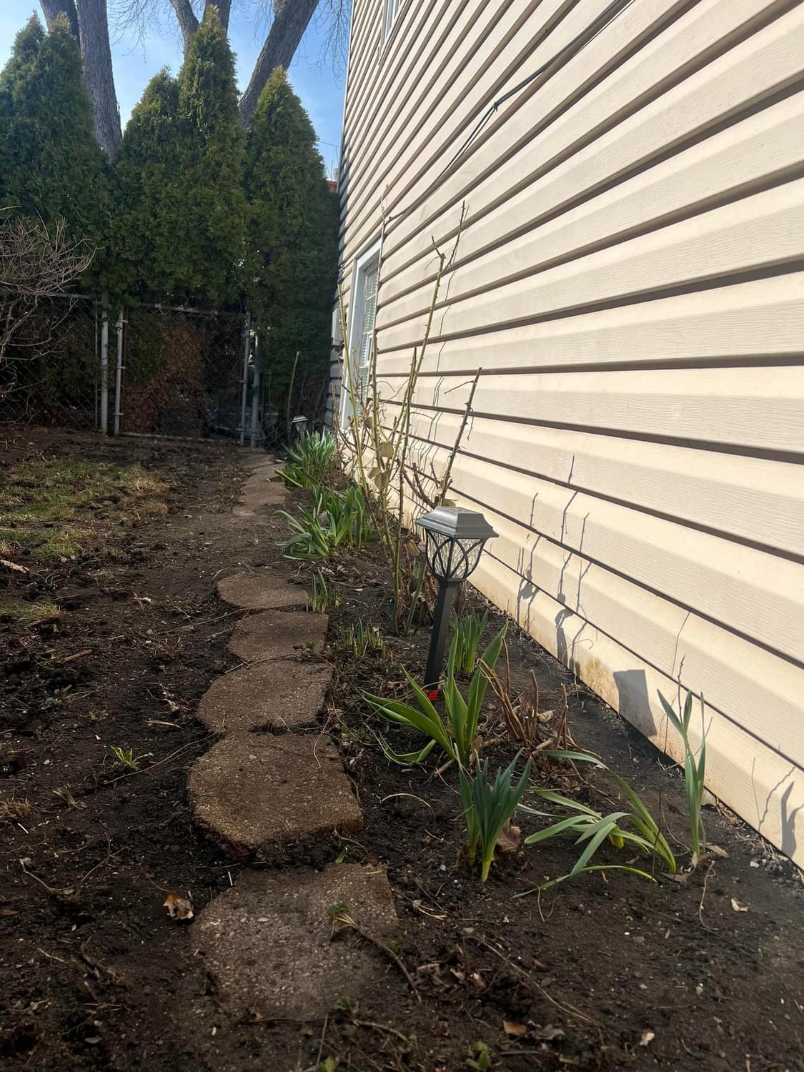 Landscaping project 2
