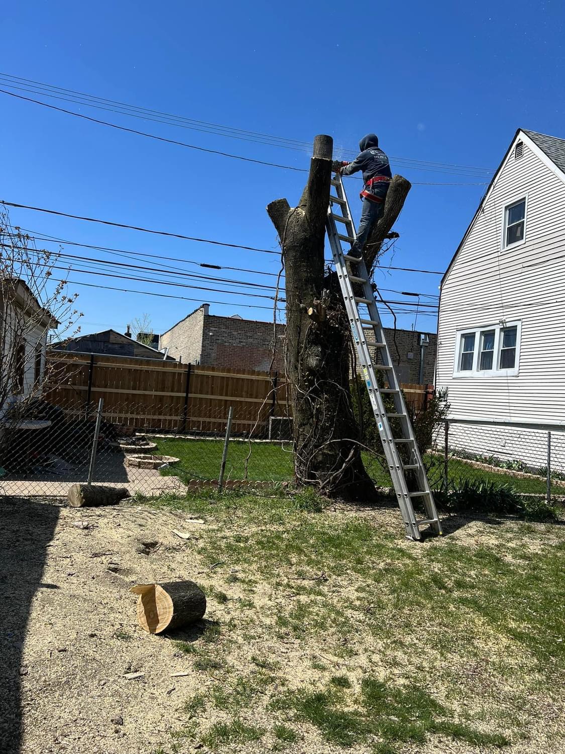 Landscaping project — property maintenance