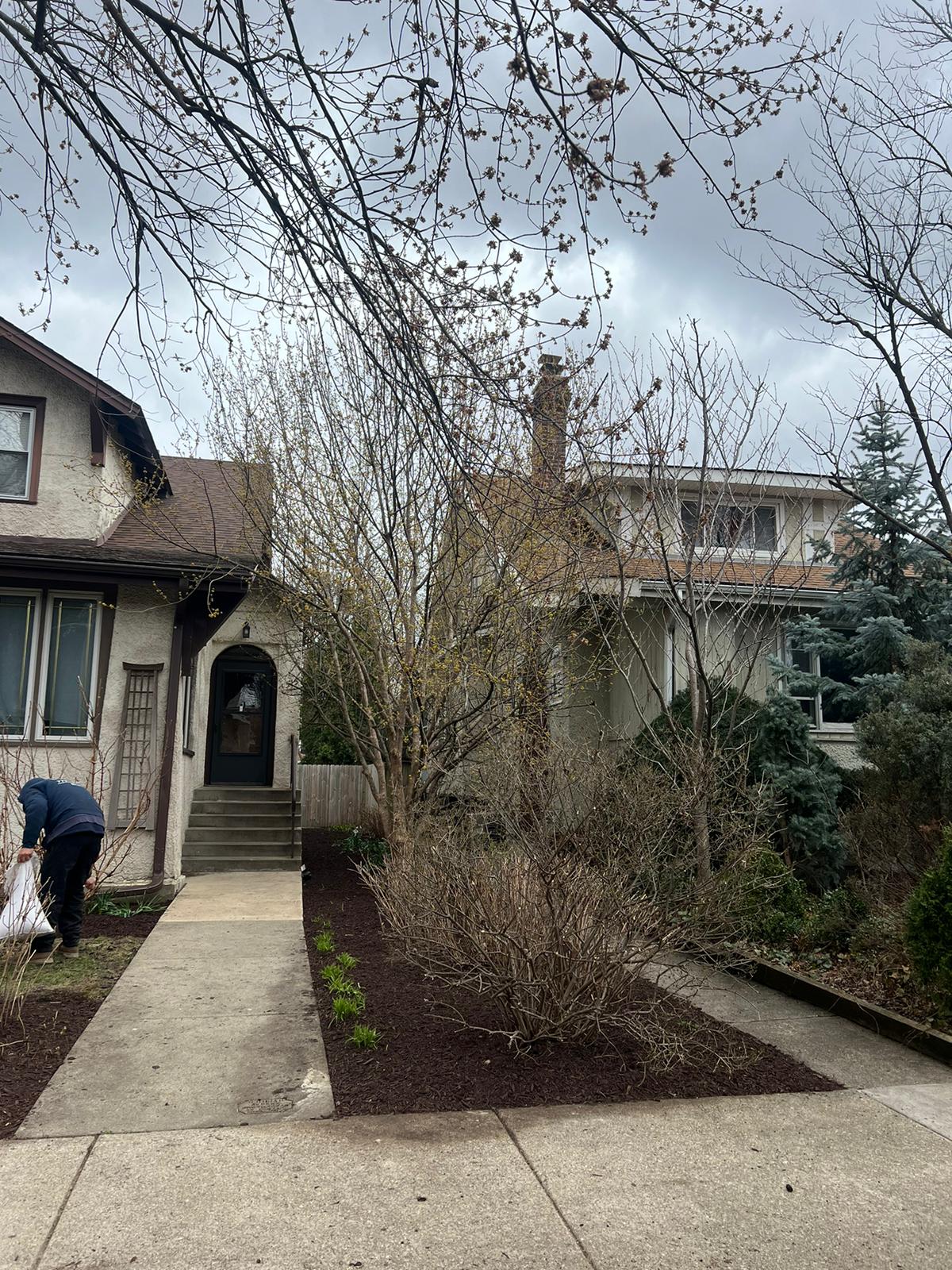 Landscaping project — weed control