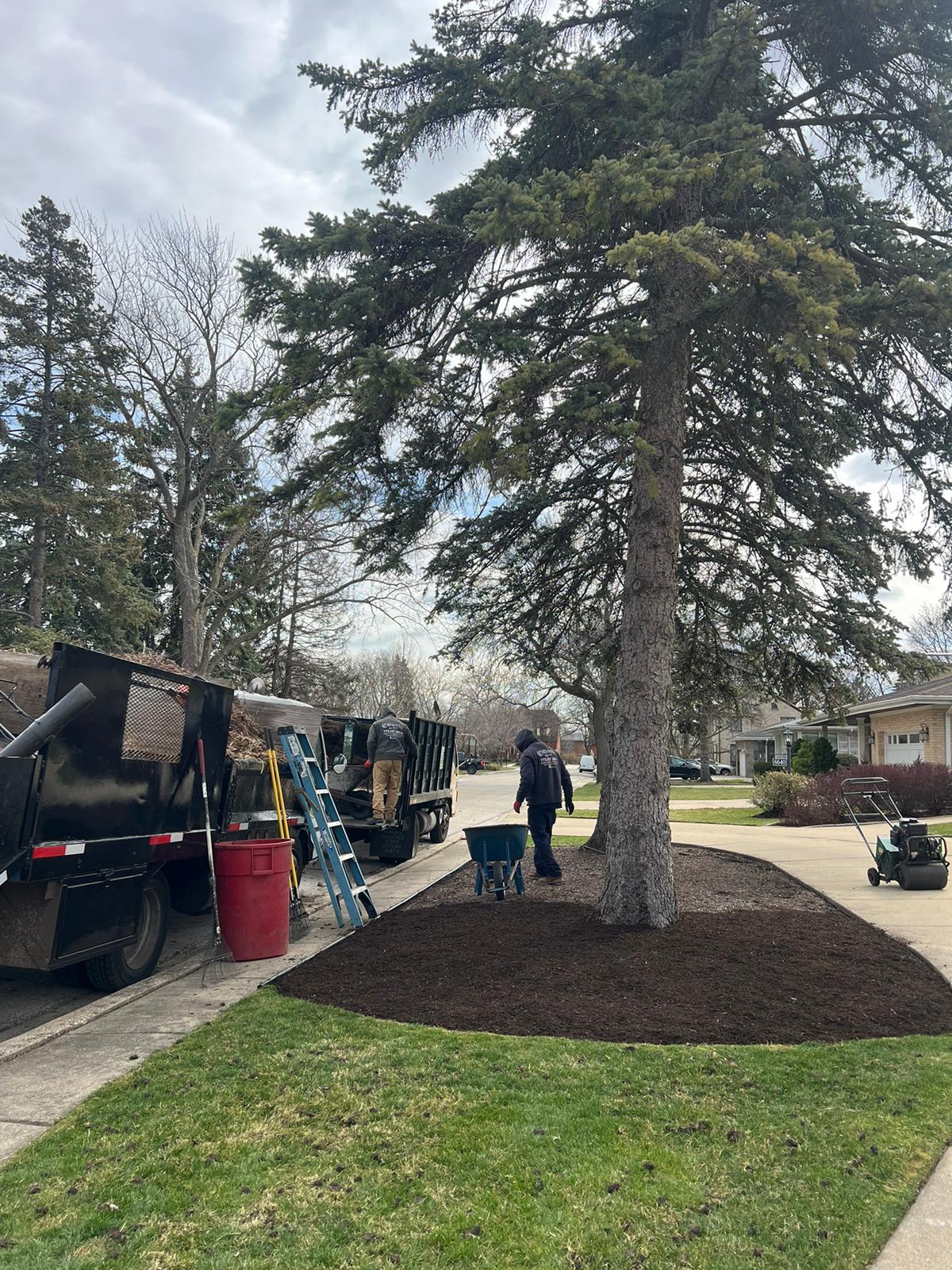 Landscaping project — outdoor renovation