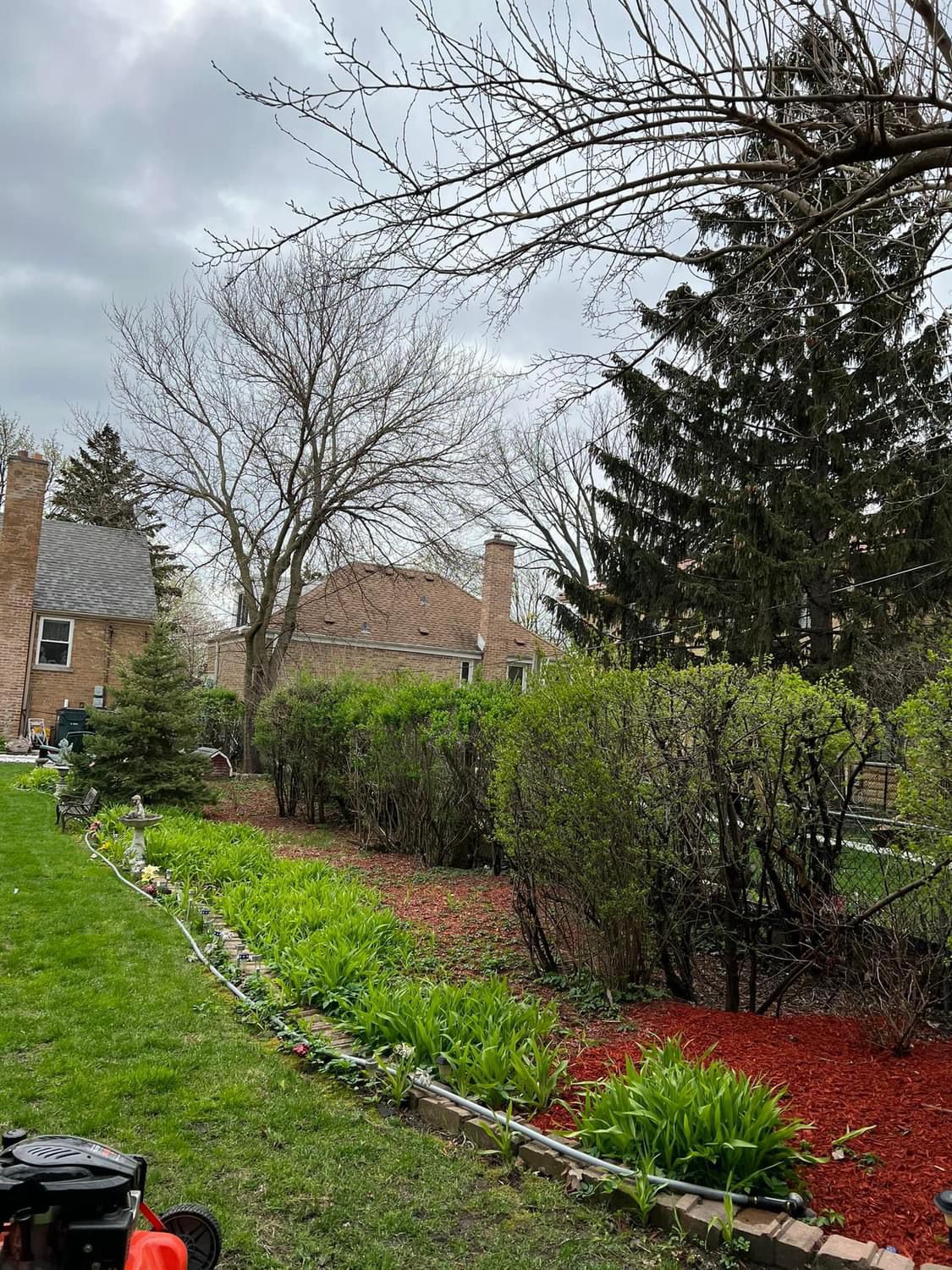 Landscaping project — yard transformation