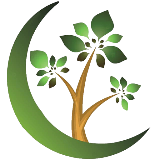 Mendoza Landscaping